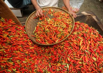 D:\2025\Desember 2025\12 Desember 2025\7\7\hal 7 - 2 klm (KIRI).jpg