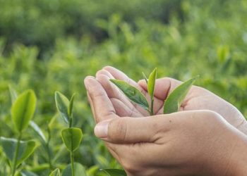 D:\2025\Desember 2025\3 Desember 2025\11\Halaman 1-11 Rabu\6 air.jpg