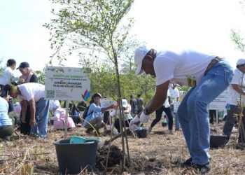 D:\2025\Desember 2025\3 Desember 2025\5\hal 5\fbd.jpg