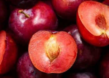 D:\2025\Desember 2025\4 Desember 2025\11\Halaman 1-11 Kamis\bukan.jpg