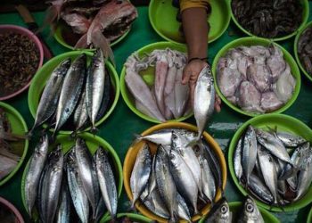 D:\2025\Desember 2025\5 Desember 2025\11\Halaman 1-11 Jumat\7 ciri.jpg