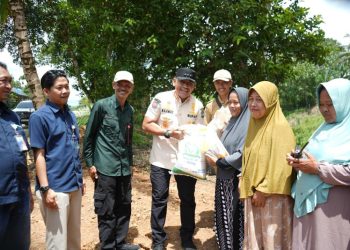 D:\2025\Desember 2025\5 Desember 2025\2\2\New Folder\2.jpg