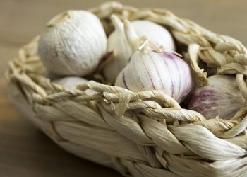 G:\2025\Desember 2025\17 Desember 2025\11\Halaman 1-11 Rabu\berkhasiat.jpg