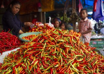 G:\2025\Desember 2025\19 Desember 2025\7\7\hal 7 - 2 klm (Bawah).jpg