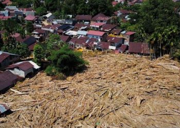 Gelondongan Kayu Yang Terbawa Banjir Bandang