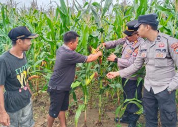 G:\2025\2026\Januari\6 Januari 2026\2\scas.jpg