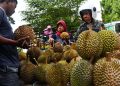 G:\2025\2026\Januari\7 Januari 2026\7\7\durian.jpg