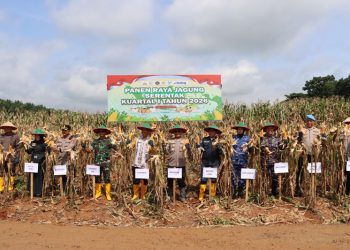 G:\2026\Januari\12 Januari 2026\2\2222\New Folder\panen raya.jpg