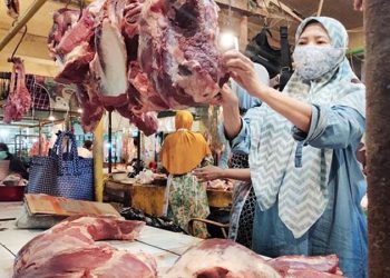 G:\2026\Januari\14 Januari 2026\7\7\hal 7 - 2 klm (KIRI).jpg