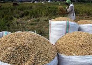 G:\2026\Januari\14 Januari 2026\7\7\hal 7 - 2 klm Bawah).jpg