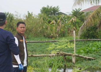 G:\2026\Januari\19 Januari 2026\5\Hal 5\amin.jpg