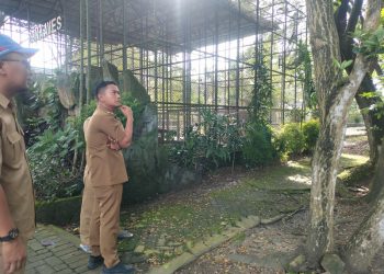 G:\2026\Januari\21 Januari 2026\5\Hal 5\Walikota H.M Yamin saat di Taman Edukasi Satwa Jahri Saleh.jpg