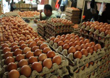 G:\2026\Januari\21 Januari 2026\7\7\hal 7 - 2 klm (KIRI).jpg