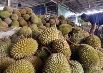 G:\2026\Januari\21 Januari 2026\7\7\master 7.jpg