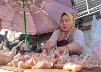 G:\2026\Januari\22 Januari 2026\7\7\hal 7 - 2 klm (KIRI).jpg