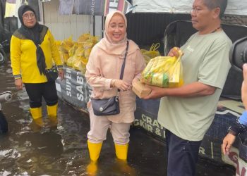 G:\2026\Januari\9 Januari 2026\5\Hal 5\NGGOTA DPRD Kalsel Hj Dewi Damayanti Said.jpg