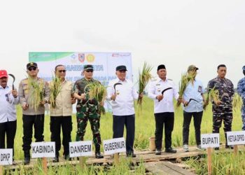 Gubernur Kalsel Targetkan Produksi Padi 1,3 Juta Ton 2026
