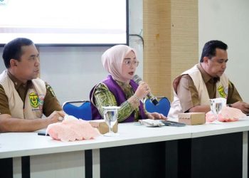 Neli Listriani Dorong Kader Tranformasi Pelayanan Posyandu