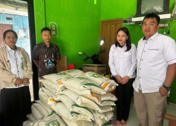 Inovasi Jemput Bola Untuk Kesejahteraan Sosial di Pelosok Kecamatan Halong