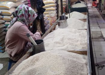 Harga Beras, Cabai, Telur Kompak Turun