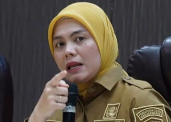 nanda: Tak Ada Toleransi bagi Bangunan di Atas Sungai