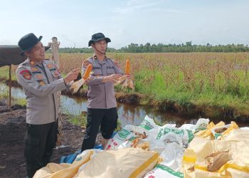 Polresta Banjarmasin Panen Jagung Super