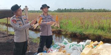 Polresta Banjarmasin Panen Jagung Super