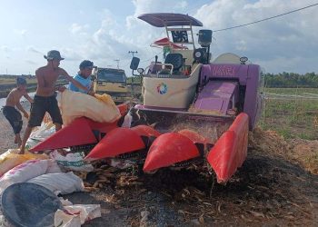 Kapolda Bantu Polresta Mesin Corn Combine Harvest