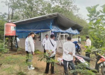 Kelompok Tani Ternak Kelurahan Tambarangan Sukses Budidaya Ayam KUB