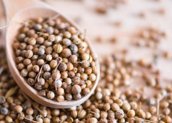 Air Rebusan Ketumbar untuk Mengobati Apa Saja? Ini Manfaatnya