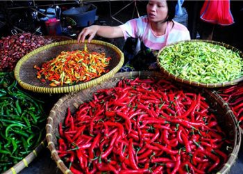 H:\2026\Februari\25 Februari 2026\7\7\hal 7 - 2 klm KIRI).jpg