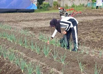 Menjaga Ketahanan Pangan Mulai dari Bangku Sekolah