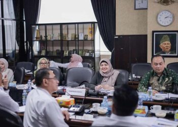 Komisi IV Dorong Penguatan Layanan RSUD