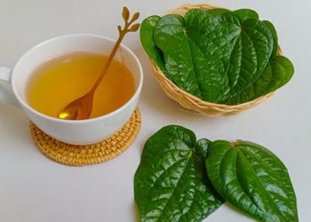 9 Bahan Alami Redakan Asam Urat yang Mudah Ditemukan