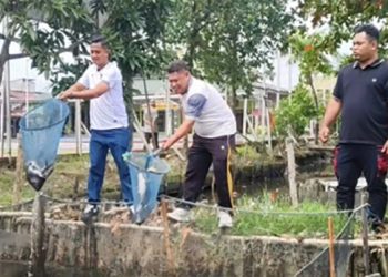 Lapas Panen 75 Kilogram Patin Hasil Budidaya WBP
