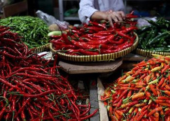 Harga Cabai Merangkak Naik