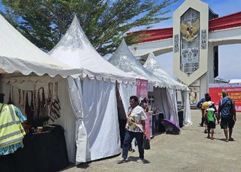 DPR RI Dorong Pembentukan Pansus Percepatan Ekonomi Perbatasan Papua