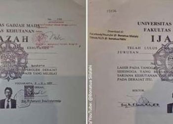 Bonatua Tunggu Salinan Ijazah Jokowi dari KPU DKI dan Solo