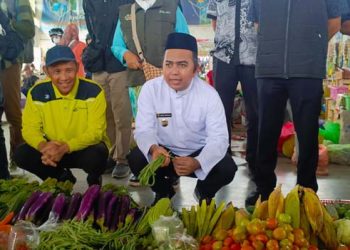 Wakil Bupati Tinjau Pasar Tanjung