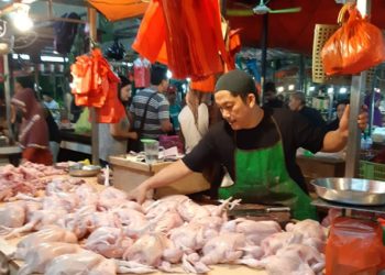 Harga Ayam dan Telur Resahkan Emak-emak