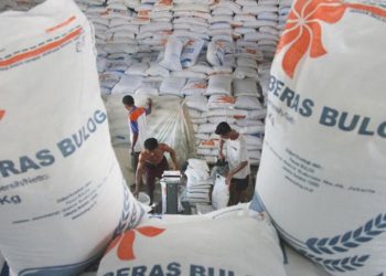 Pemerintah Janjikan Stok Pangan Aman