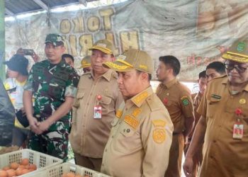 Bupati dan Wabup Tapin Pantau Harga Pasar Tradisional Tapin