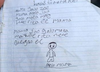 Cermin dari Ngada: Krisis Sistemik Negara