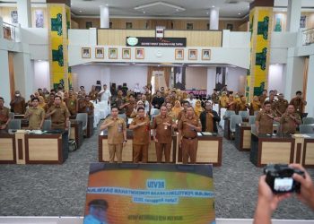 Review LPPD Kabupaten Tapin Tahun Anggaran 2025