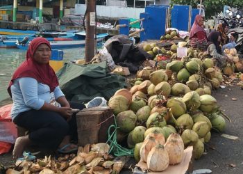 Buah Kelapa Terlaris Selama Bulan Puasa