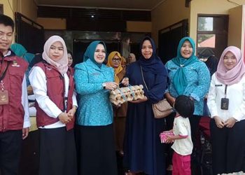 Cegah Stunting, TP PKK Salurkan Bantuan Telur