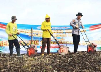 Polresta Banjarmasin Tanam Jagung Seluas 11 Hektare