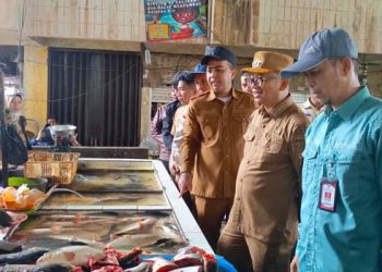 Bupati dan Wabup Tinjau Pasar Tanjung