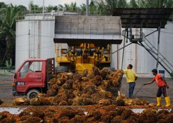 Pengamat: Pertalite Naik Jika Minyak US$90 per Barel