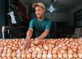 Harga Beras, Bawang Merah, Telur Melandai